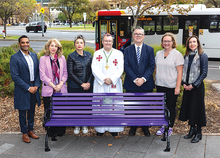 Purple bench sm.jpg Purple bench sm.jpg